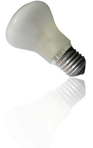 47 fluorescent bulb discount